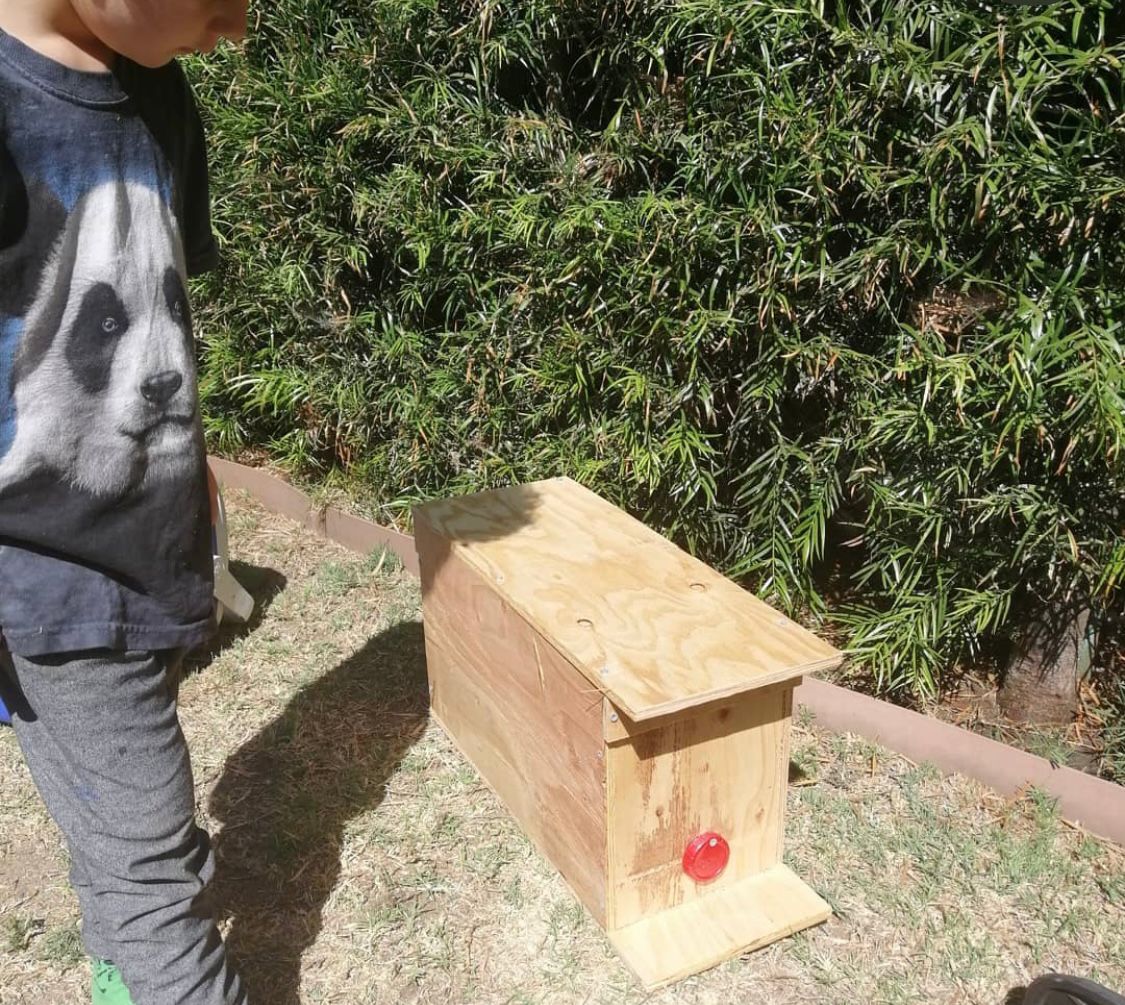 Honeybee Swarm Trap